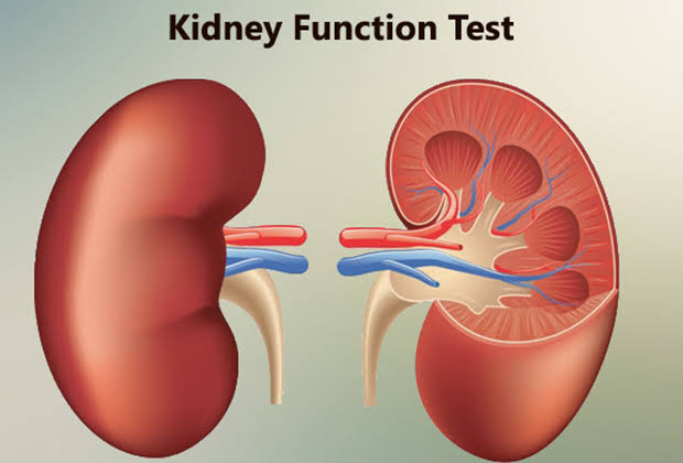 Gallery - DR UK Diagnostic Centre, Iyyappanthangal, Chennai