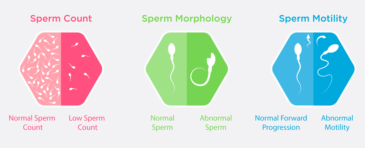 Semen Analysis Test in Iyyappanthangal, Chennai